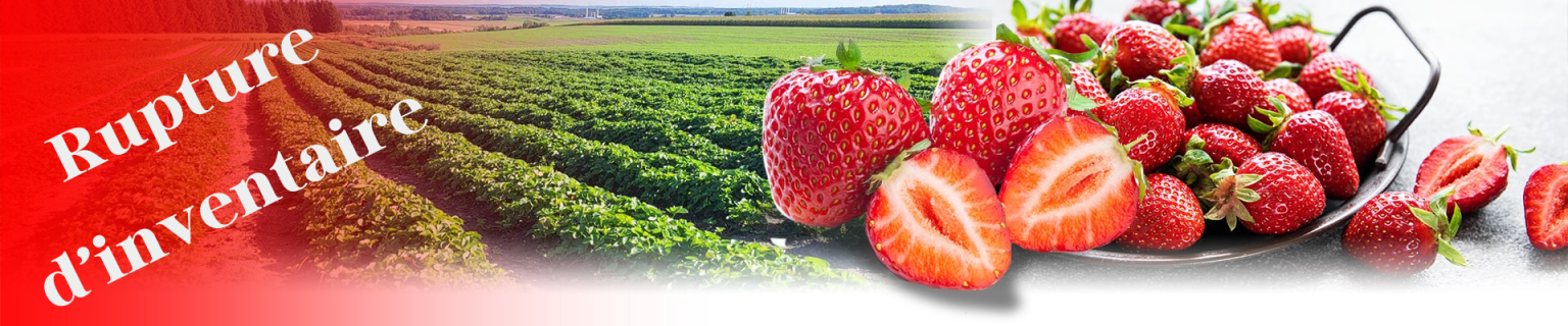 fraise-Rupture inventaire58